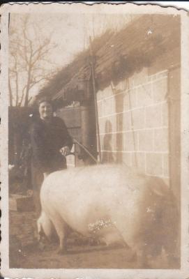 Emma Van Vooren met zeug, Kaprijke