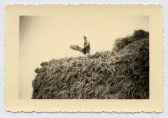 Cyriel Boelens op een opper, Bassevelde