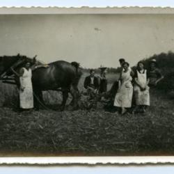 De barones met twee kinderen en een boerenpaard