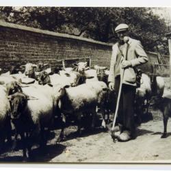 Schapenherder op de dries, Doornzele