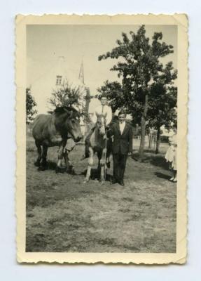 Rijden met de paarden op het erf