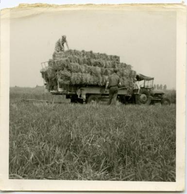 Hooi binnenhalen met de tractor