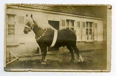 Jaarmarkt Assenede, 1939 (1)