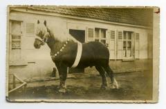 Jaarmarkt Assenede, 1939 (1)
