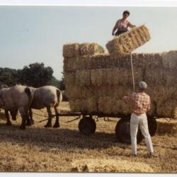 Prijsdier en Roger Mussche, Evergem