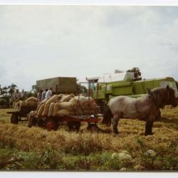 Loonwerkers in Evergem (2)