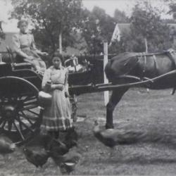 Foto van festivalkar getrokken door twee paarden