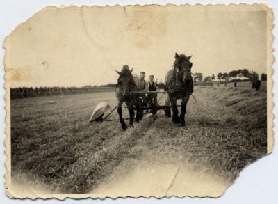 Pikbinder getrokken door paarden (1), Zelzate