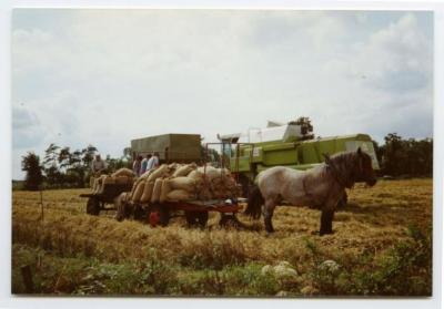 Oogsten met een combiné, paard en kar