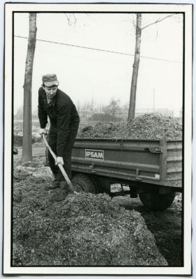 Maïs laden met de riek
