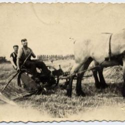 Boeren Jeugdbond, Evergem, 1948