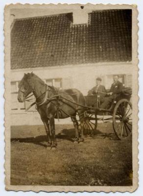 Paardenkoets op het hof, Zelzate