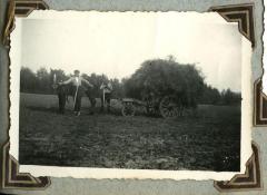 Loof van de aardappelen, Kaprijke