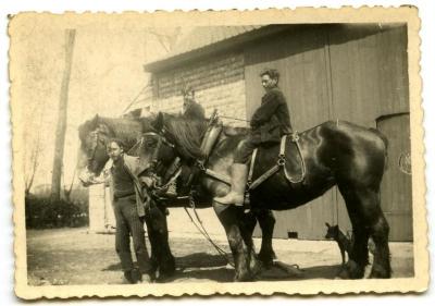 De werkpaarden van de familie Van Den Hende, Kaprijke