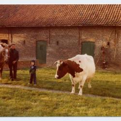 Edgard Van Den Hende bij de hooiopper , Kaprijke