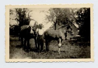 Cyriel Heyde bij de paarden
