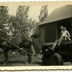 Zusjes Neerinck in de boomgaard, Eeklo 