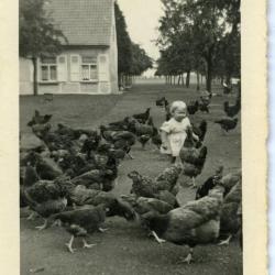 Margriet Lippens en Cyriel Wauters op het erf, Karpijke