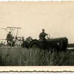 Paard met eg, Kaprijke