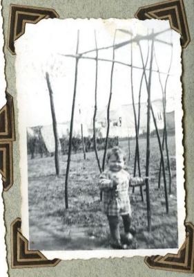Boontjes planten