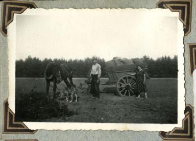 Aardappelen vervoeren, Kaprijke