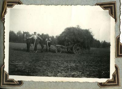 Loof van de aardappelen, Kaprijke