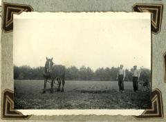Paard met eg, Kaprijke