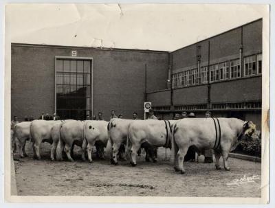 Veeprijskamp, Brussel