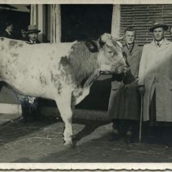 Eerste tractor op hoeve De Vliegher, Bellem