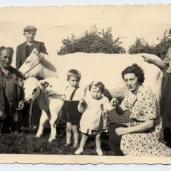 Aardappelen rooien met de ploeg, 1941-1942