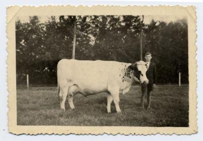 Prijsdier en Roger Mussche, Evergem