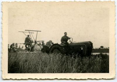 Koren maaien met de zelfbinder