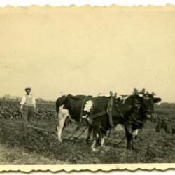 Pikdorser M103 uit de jaren '70