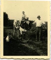 Gerard De Vusscher op een os
