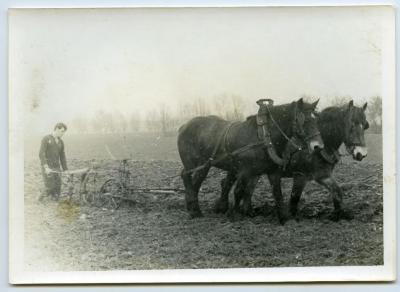 Laatste keer ploegen met paard en kar (II)