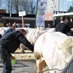 Binnenhalen van de oogst