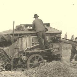 Vet Vee op de Vette Veemarkt van 1960