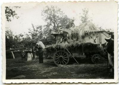 Dorsen met een Raussendorf op een erf