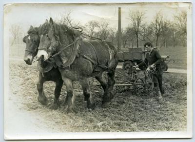 Laatste keer ploegen met paard en kar