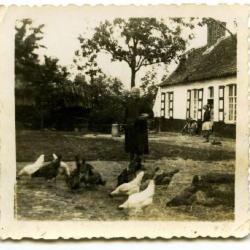 Moeder en kinderen op het hof, Lembeke, jaren 1940