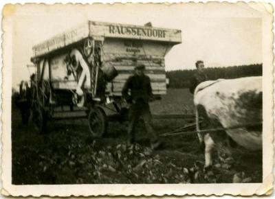 Raussendorf dorsmachine getrokken door ossen (2)