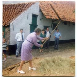 Grootvader en kleindochter mesten paardenstal uit, Eeklo, 1956