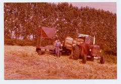 Graan in zakken na het dorsen, Ertvelde (II)