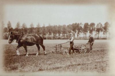 Kapmachine voor bieten, Boechoute
