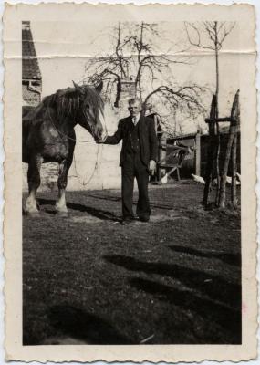 Emiel De Bruycker bij zijn werkpaard