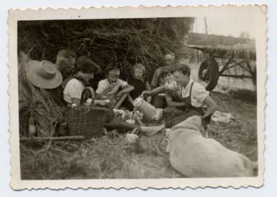 Schaften tijdens de oogst