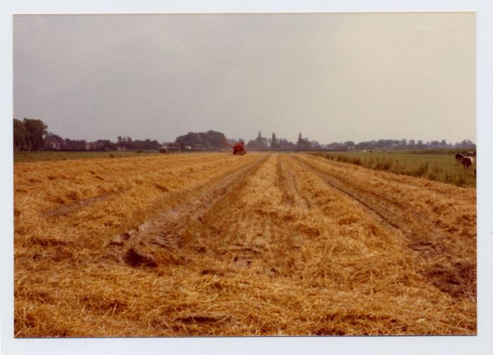 Het land na de oogst