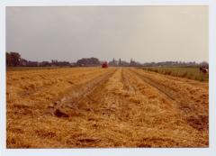 Het land na de oogst