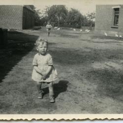 Kinderen op het erf, Zomergem