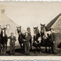 Strobalen vormen met de persmachine